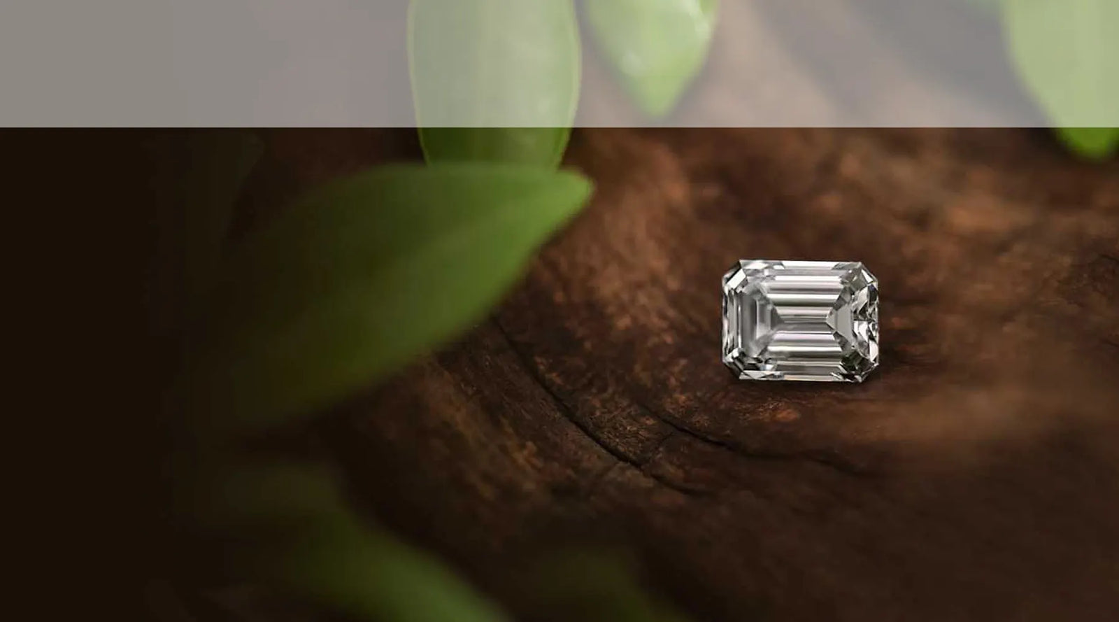 shop certified lab grown diamonds and engagement rings